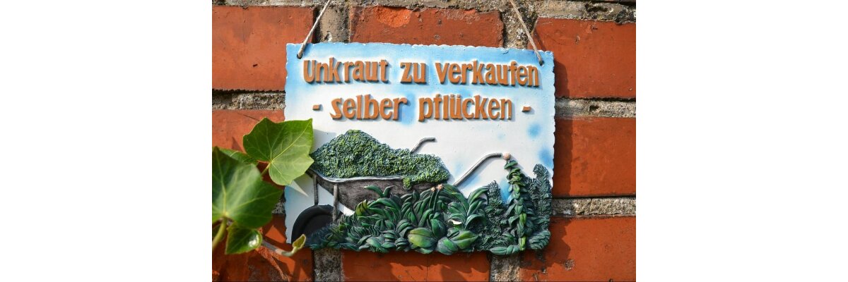 Unkraut zu verkaufen - Unkraut zu verkaufen