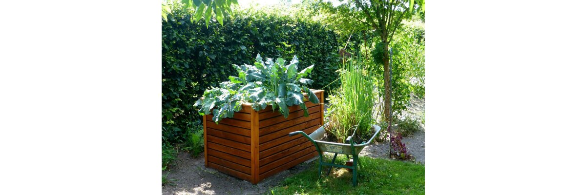 Kein Platz und trotzdem Garten – Ideen für kleine Beete - Kein Platz und trotzdem Garten – Ideen für kleine Beete