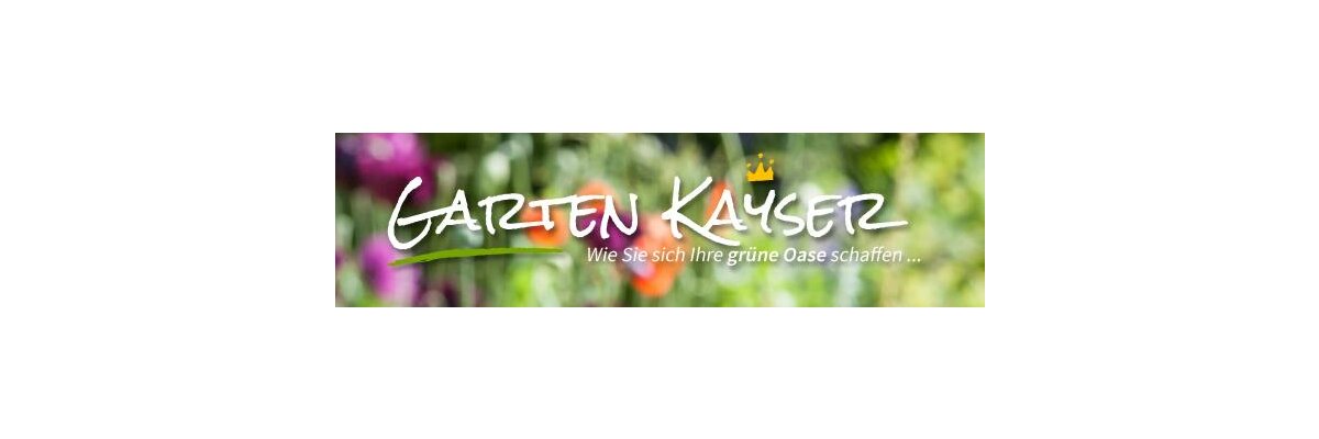 Kennen Sie schon unseren Blog?    www.garten-kayser.de - 