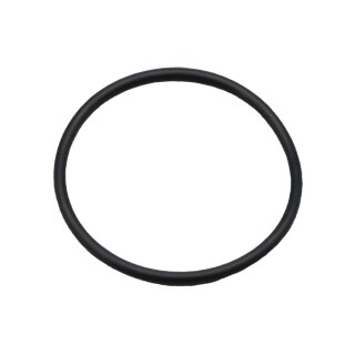 Dichtung/O-Ring für Filtergehäuse SF120